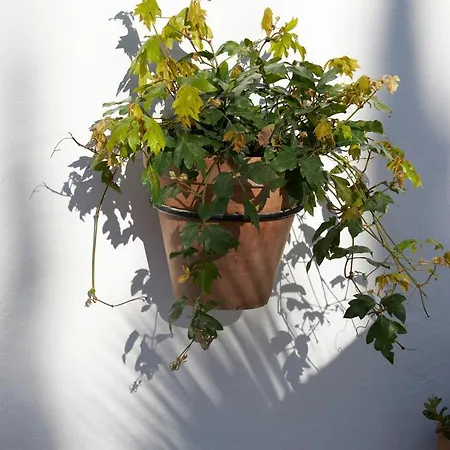 El Molino Hotel Estepona