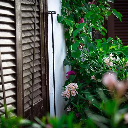 El Molino * 에스테포나