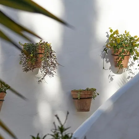 Готель El Molino