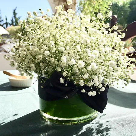 Otel El Molino Estepona