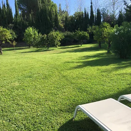 El Molino