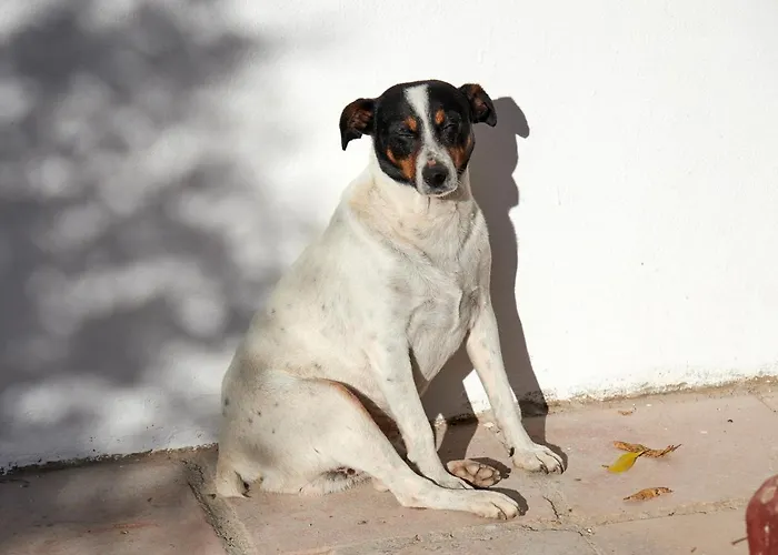 El Molino Готель *