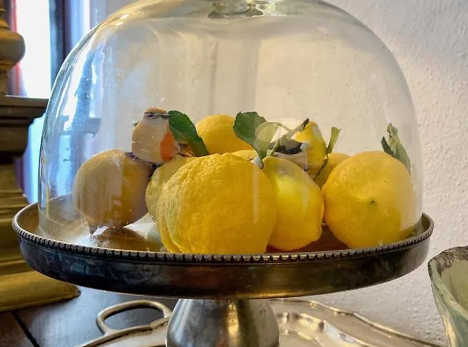 El Molino 에스테포나