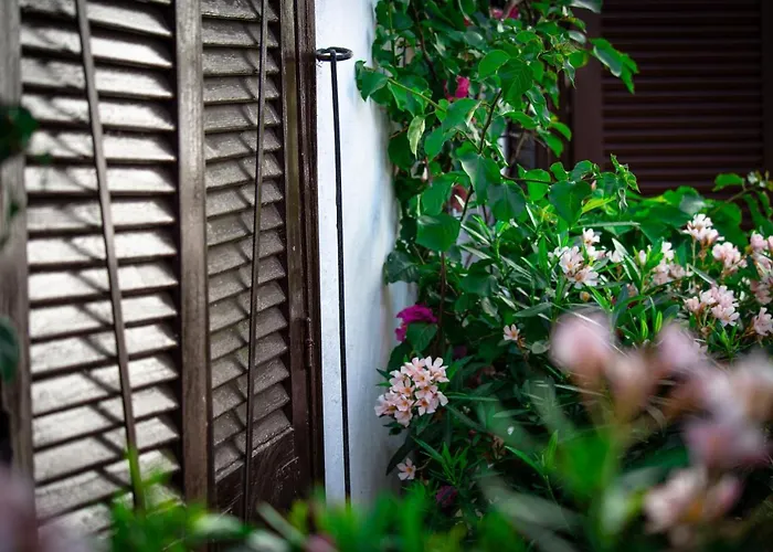 El Molino * Estepona