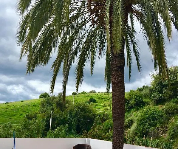 El Molino Hotel Estepona