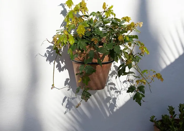 El Molino 호텔 에스테포나