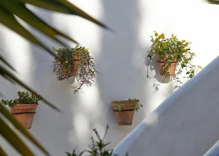 Готель El Molino