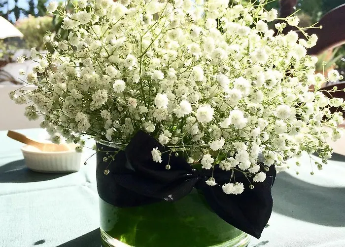 호텔 El Molino 에스테포나