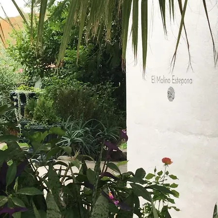 El Molino *